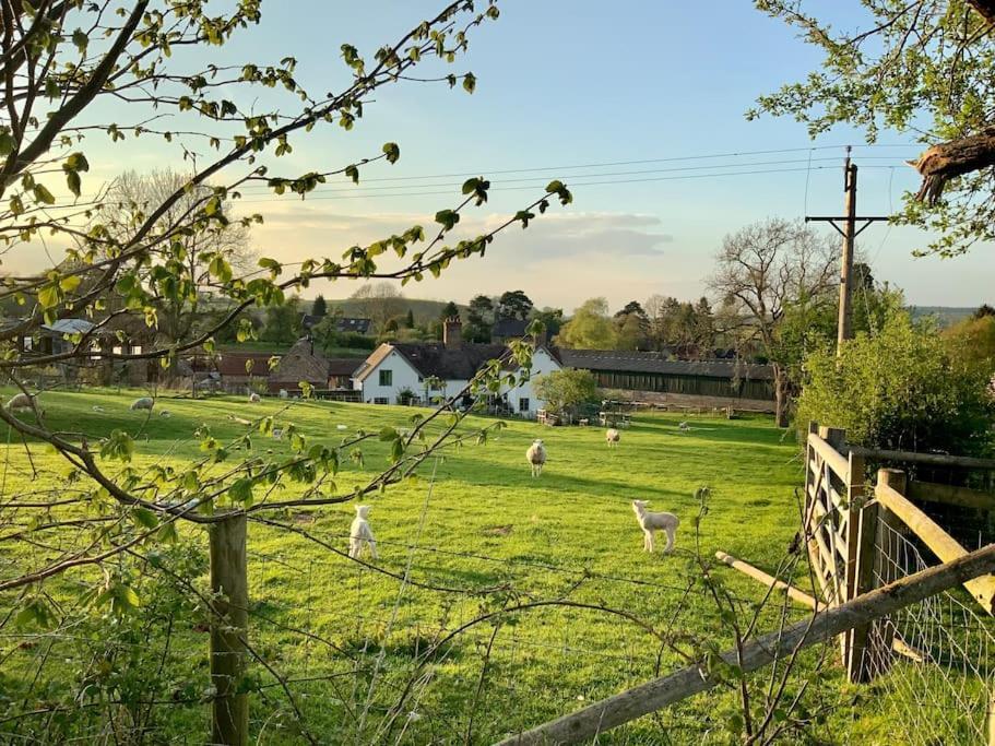 Apartamento The Cart House - Beautiful Contemporary Barn - Hot Tub Bridgnorth Exterior foto